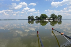 Steinhuder Meer (30)