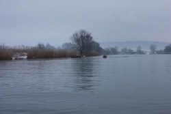 20100214_41