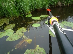 Vegesack-Teufelsmoor-Juni-2018 (9)