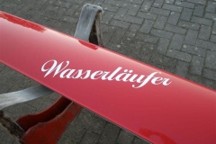 Wasserläufer